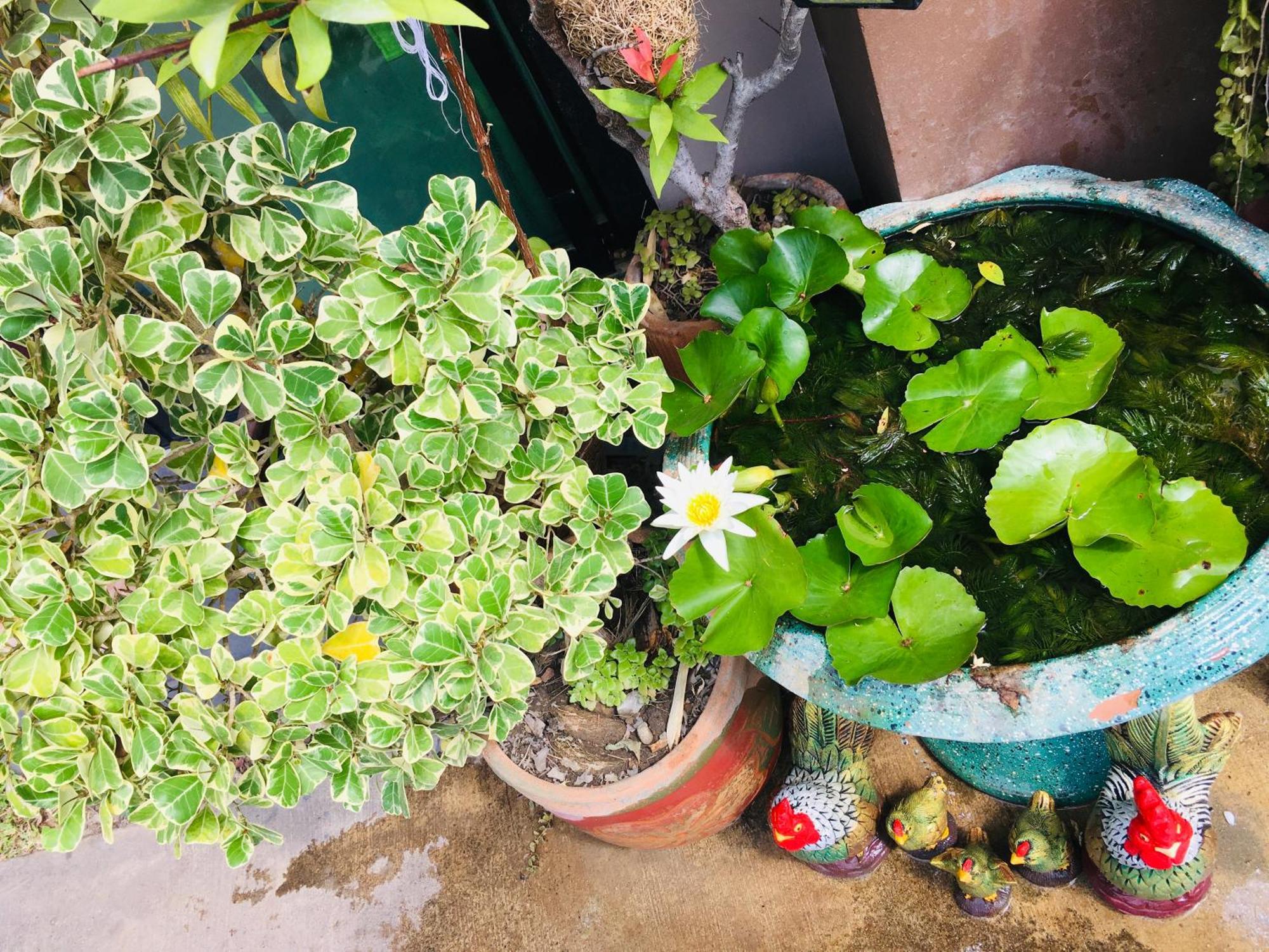 Mae-Sa-Riang Home Mae Sariang Buitenkant foto