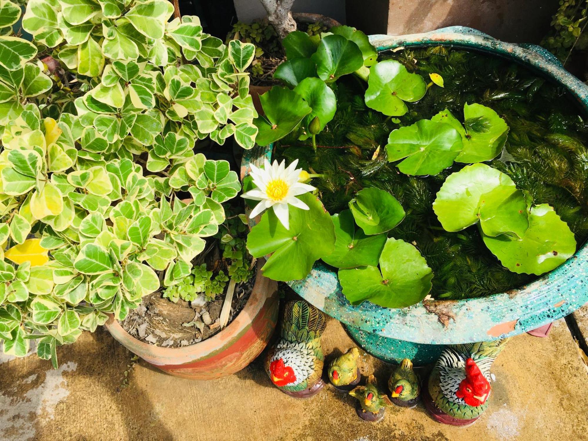Mae-Sa-Riang Home Mae Sariang Buitenkant foto